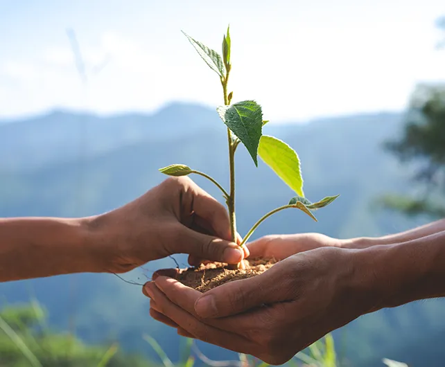 Sustentabilidade