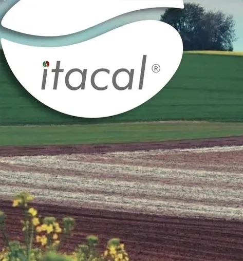 Itacal
