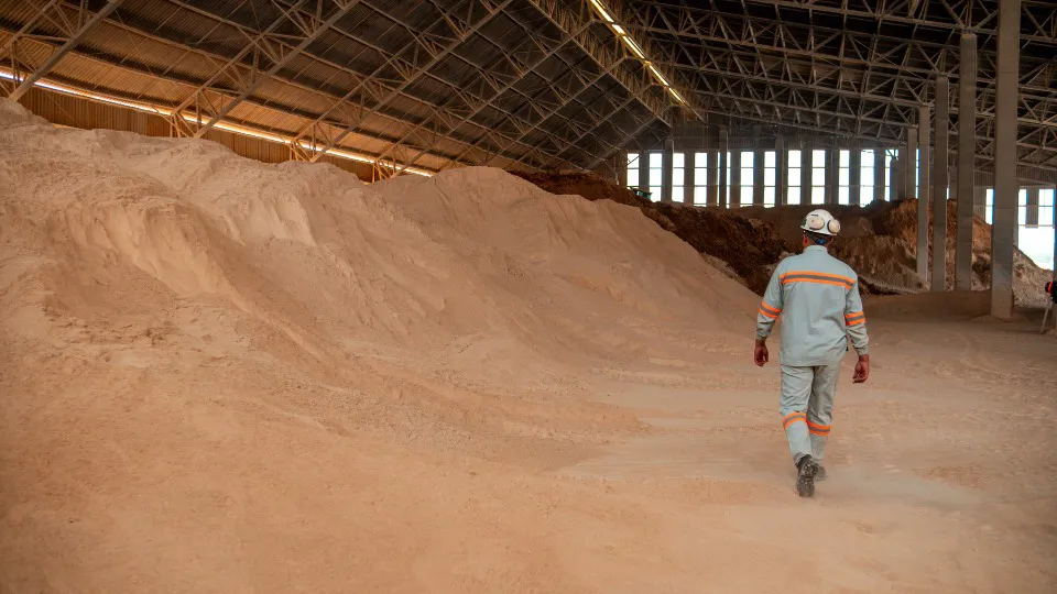 Fertilizantes Fosfatados em Luís Eduardo Magalhães: qual é a melhor escolha?